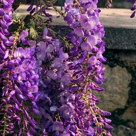 Il Glicine B&B Ristorante Cazzago San Martino Εξωτερικό φωτογραφία