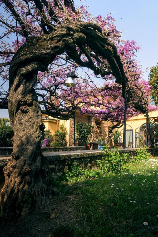Il Glicine B&B Ristorante Cazzago San Martino Εξωτερικό φωτογραφία